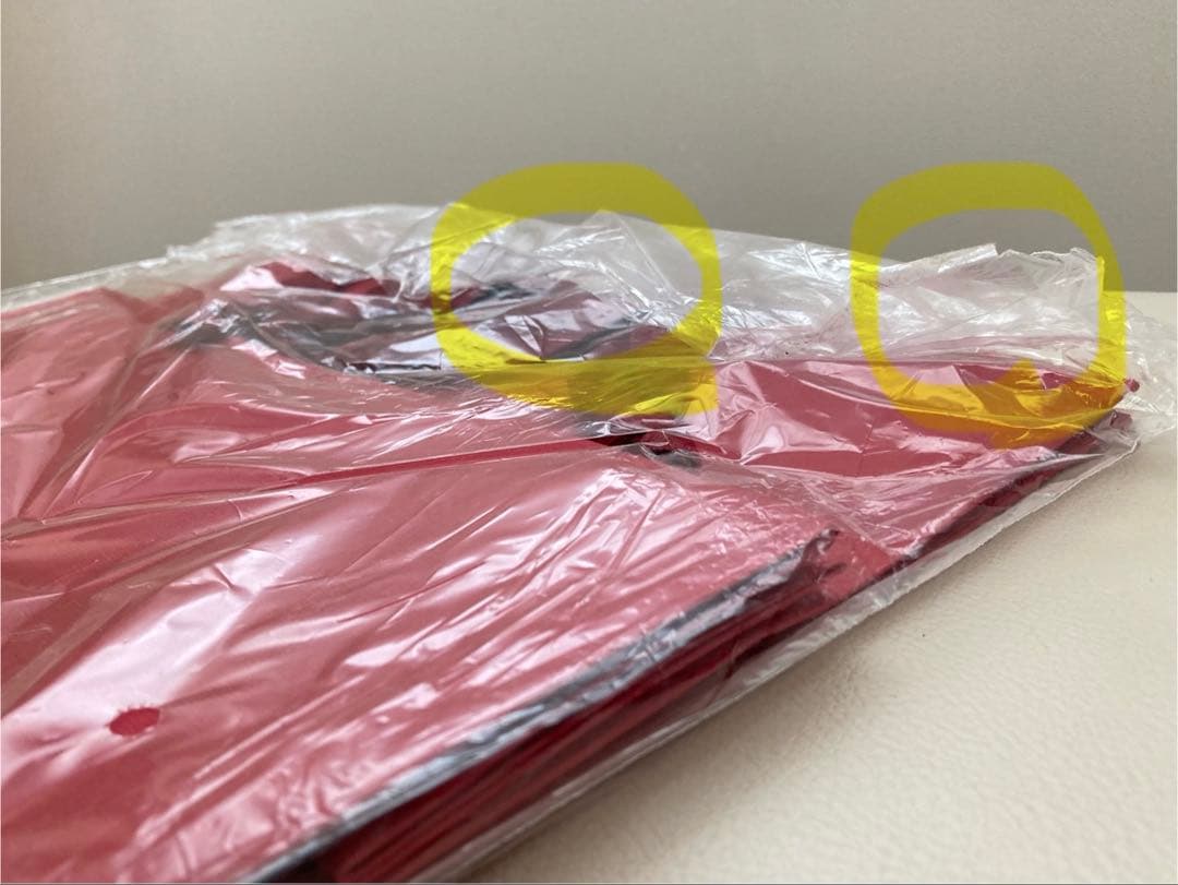 ルイ13世 赤い紙袋 5枚セット