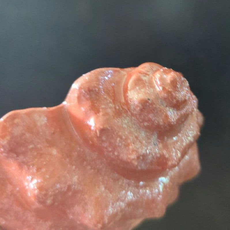 骨董茶道具 京焼 清水焼 醍醐窯 島荷平作 茶懐石 楽焼 赤楽 さざえ