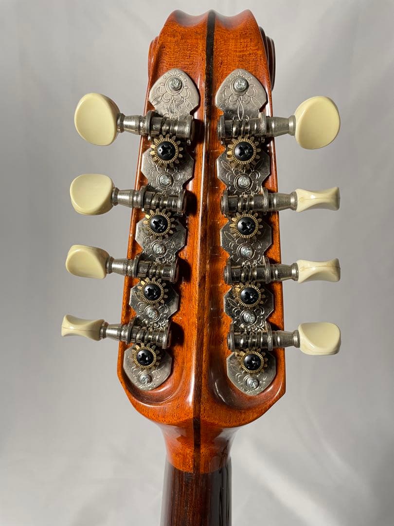 石川マンドリン/No.300 個人オーダー特注品・セミビンテージ - メルカリ