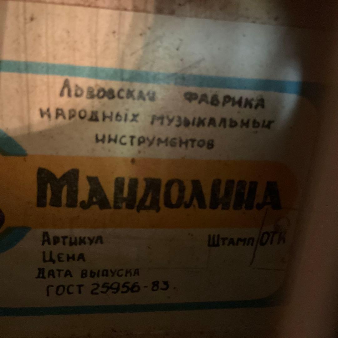 マンドリン　ロシア　楽器