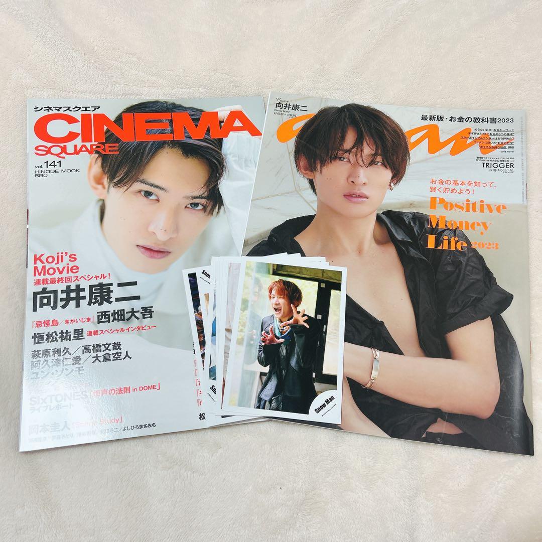 向井康二 ハンガー 公式写真 ステフォ 雑誌切り抜き うちわ まとめ売り