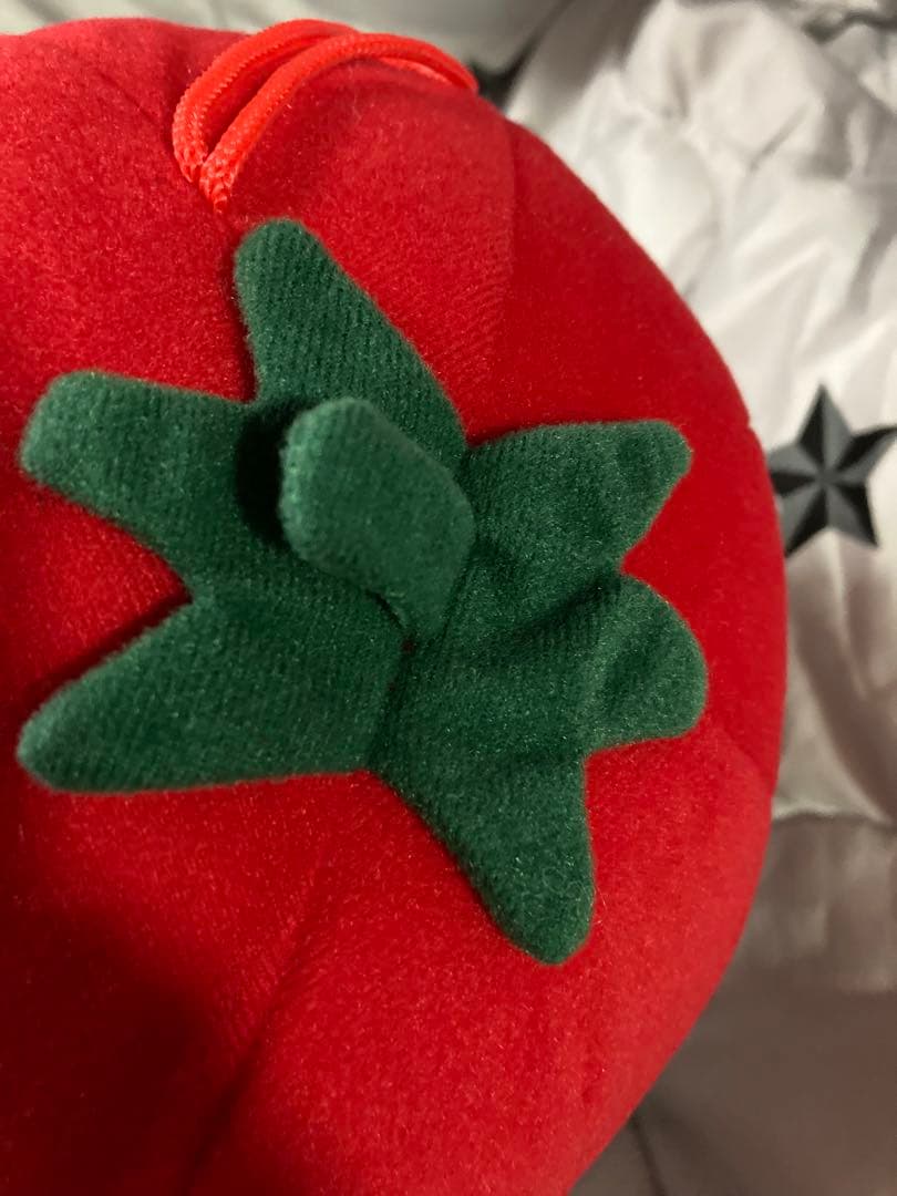 ぬいぐるみ 非売品 タキイ 種苗 マスコット タキットくん 入手困難 激レア