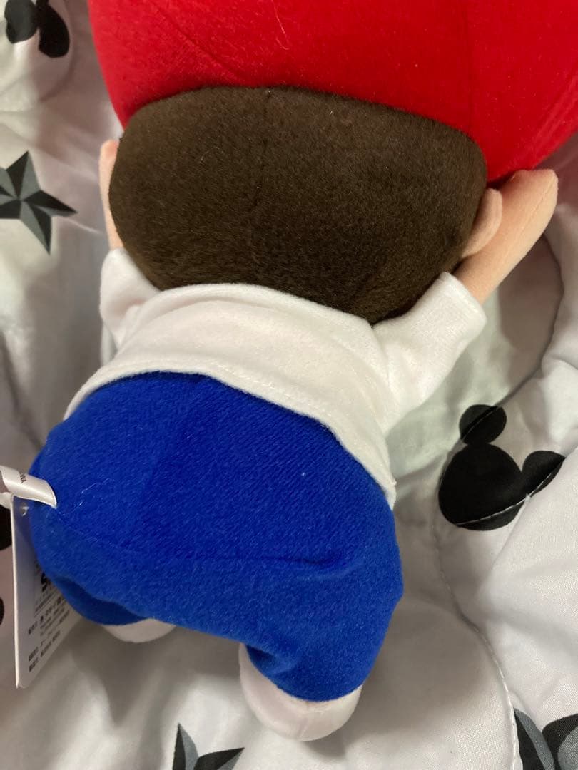 ぬいぐるみ 非売品 タキイ 種苗 マスコット タキットくん 入手困難 激レア