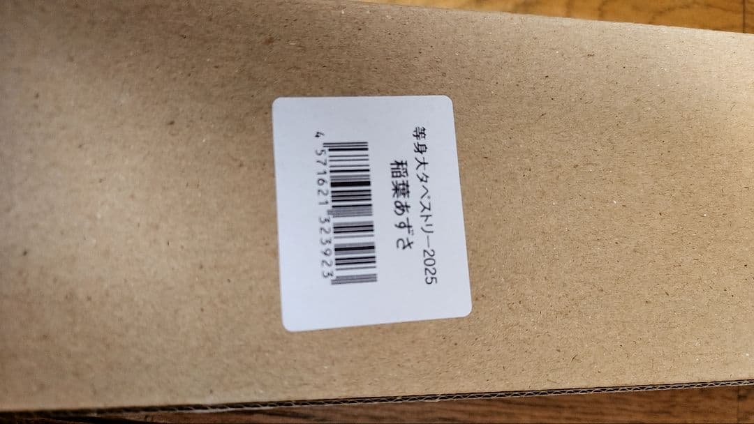 スターダム 稲葉あずさ 等身大タペストリー 2025　女子プロレス　HATE