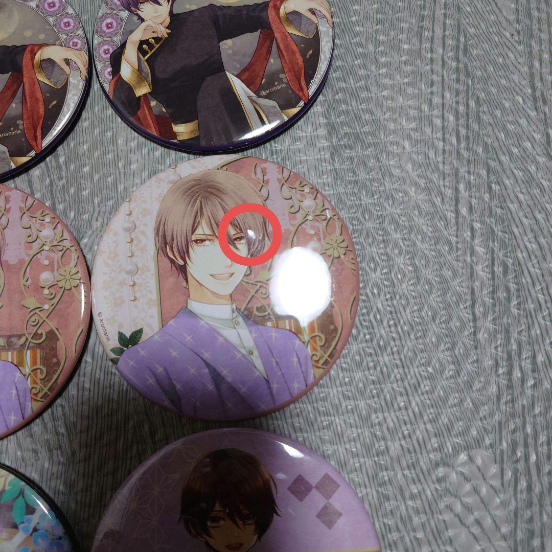 濁*様 蝶の毒 華の鎖 真島 セット