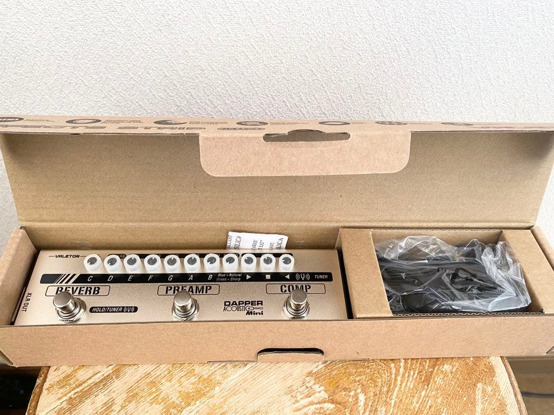 【試奏のみ】VALETON Dapper Acoustic Mini