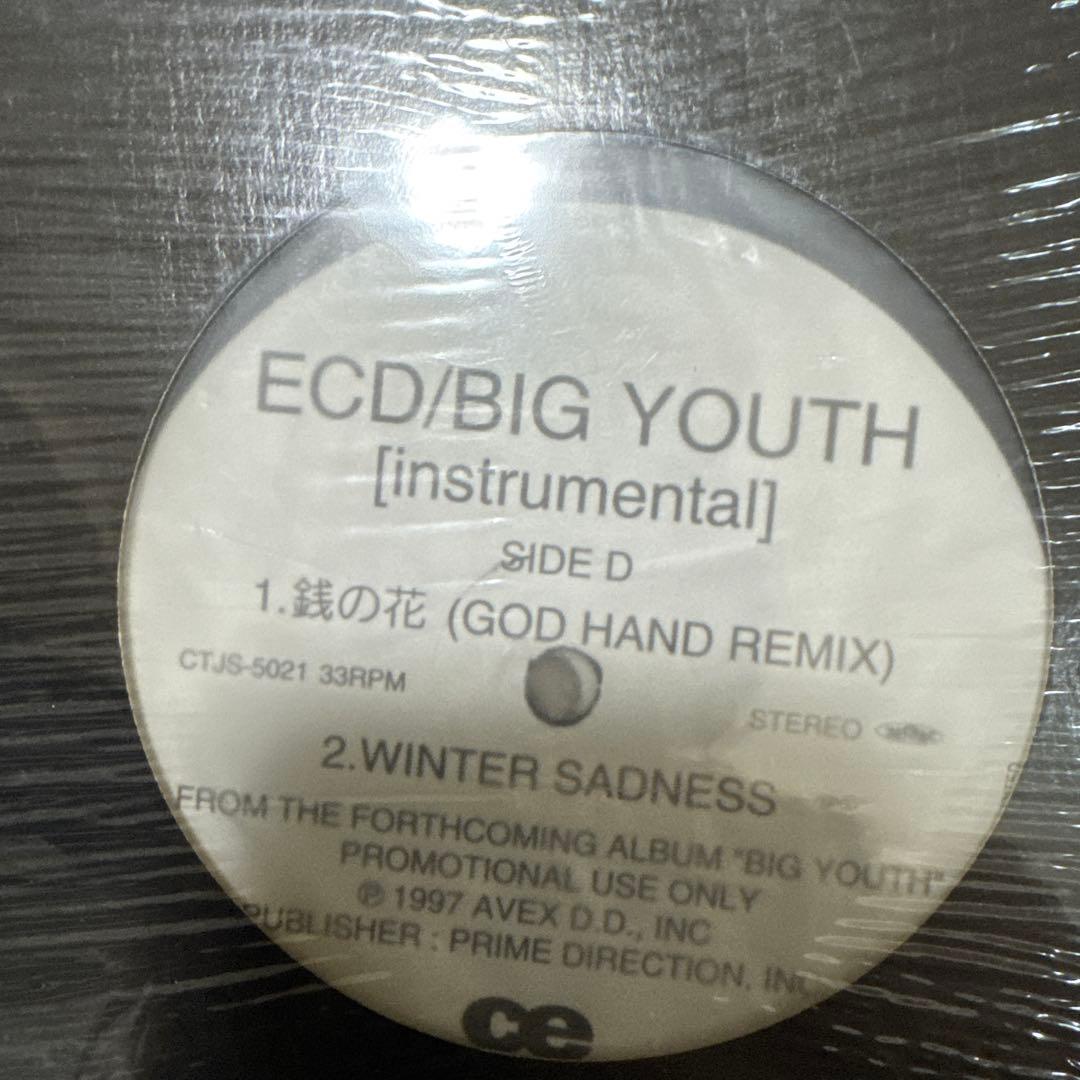 ECD/BIG YOUTH [instrumental] アナログ