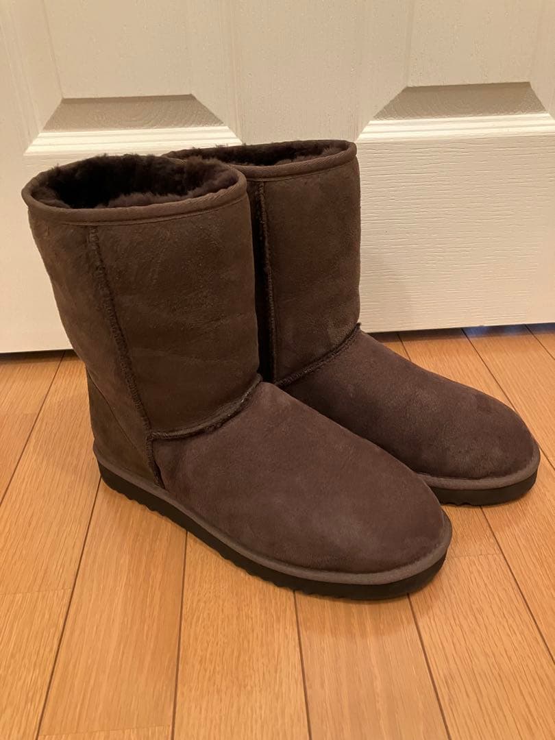 枝豆くん様専用※【新品・未開封】アイプリン 美容液コンシーラー50本