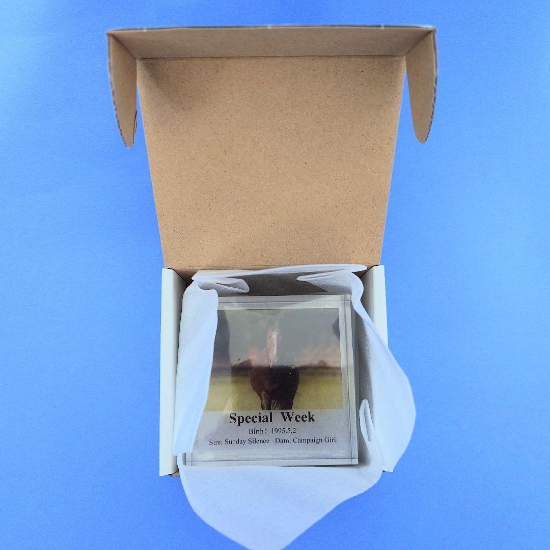 【希少新品】スペシャルウィーク競馬ぬいぐるみウマ娘 アイドルホース馬AVANTI