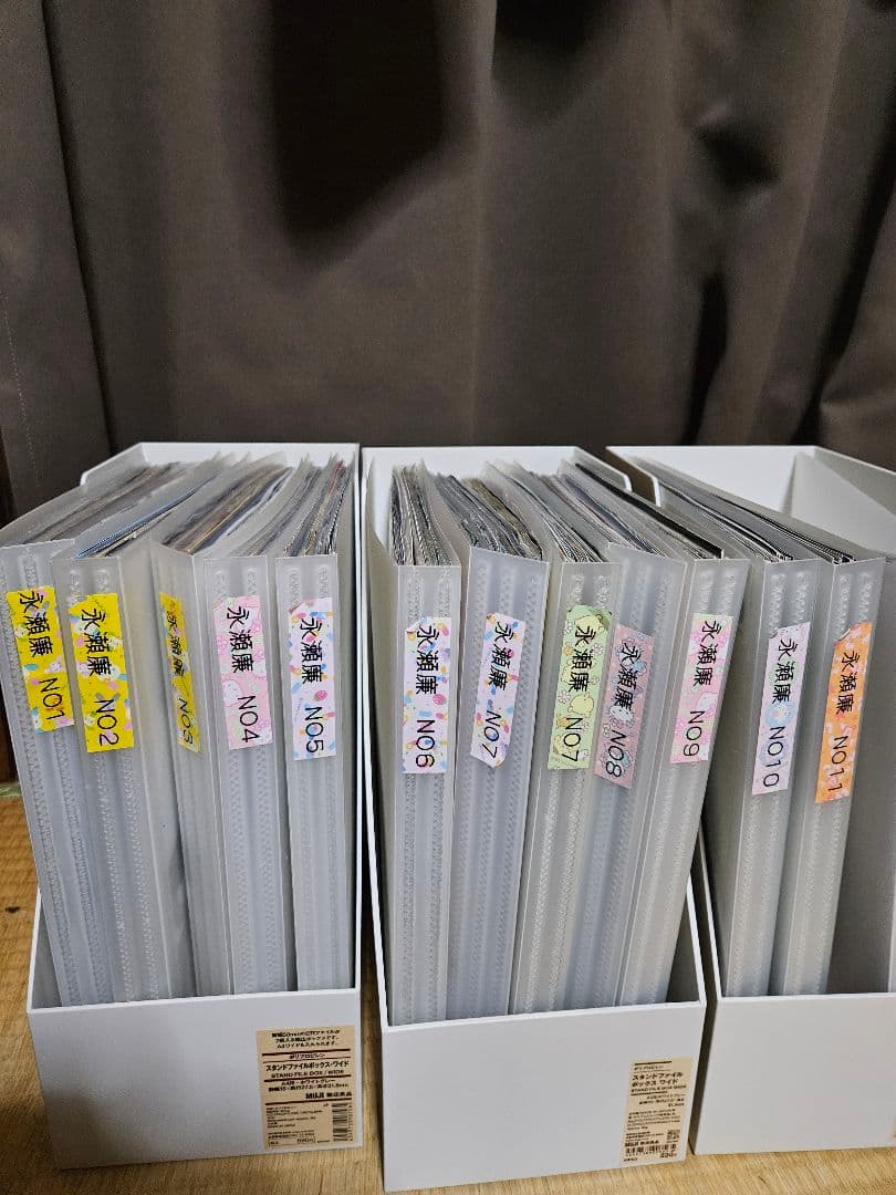 遊戯王デュエリストリファイルポケット