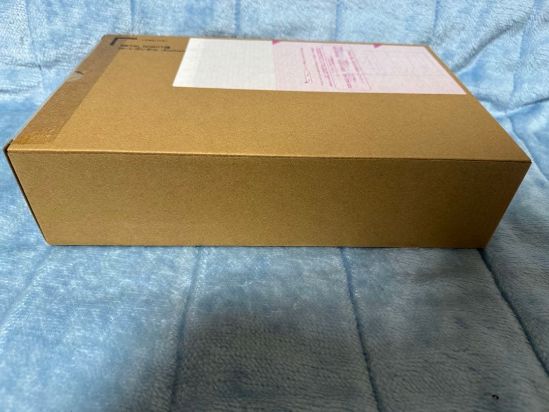 野生の山男　メタルロボット魂　Hi-ν GUNDAM