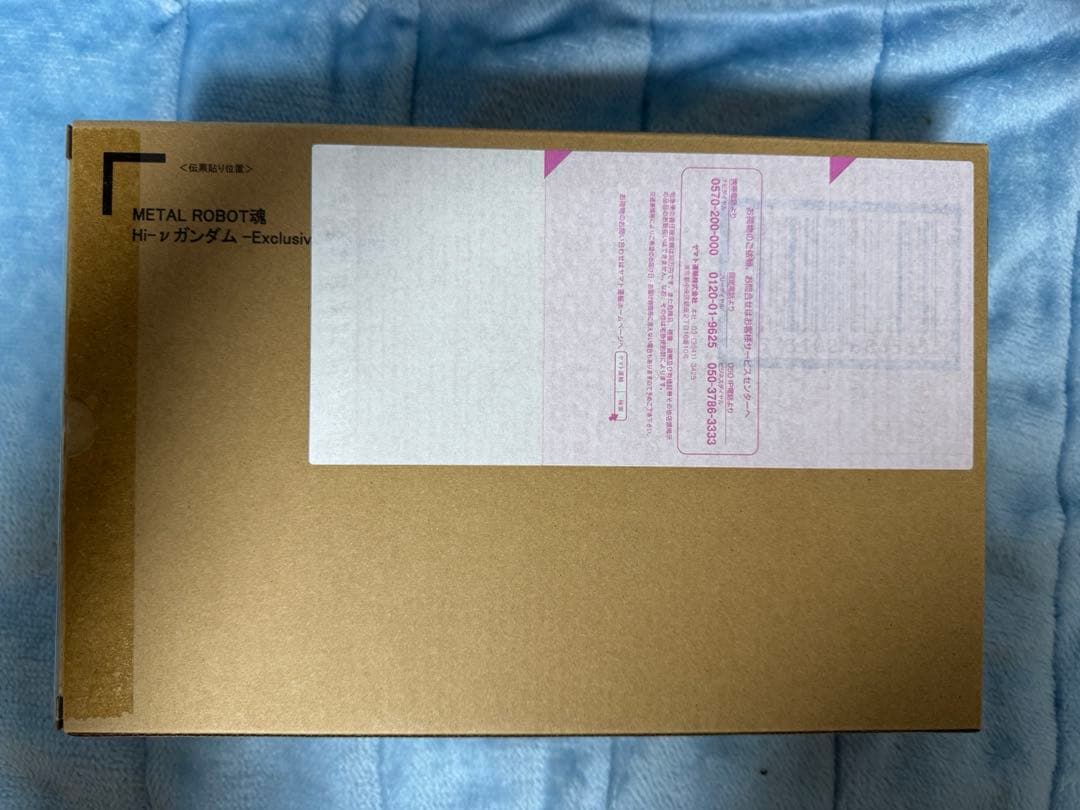 野生の山男　メタルロボット魂　Hi-ν GUNDAM