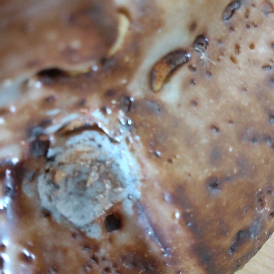 江川勝子  柿志野  足付き角皿