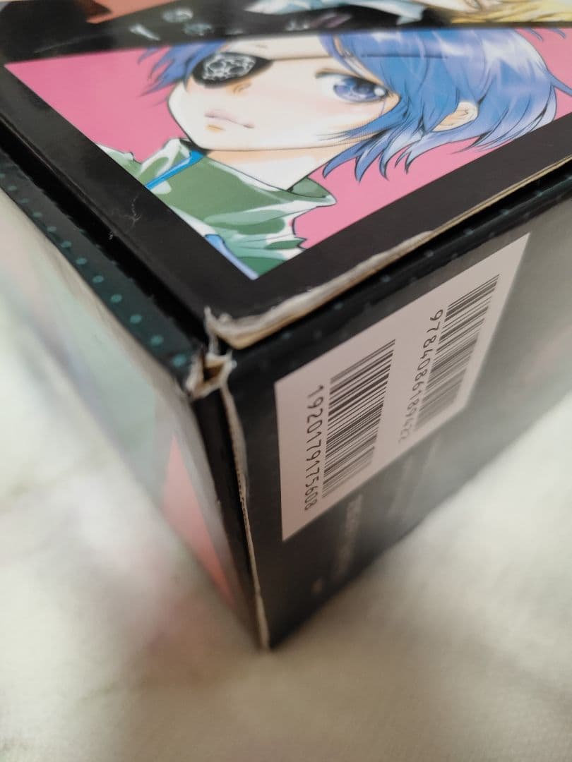 【家庭教師ヒットマンREBORN!】文庫版 全21巻 BOX付