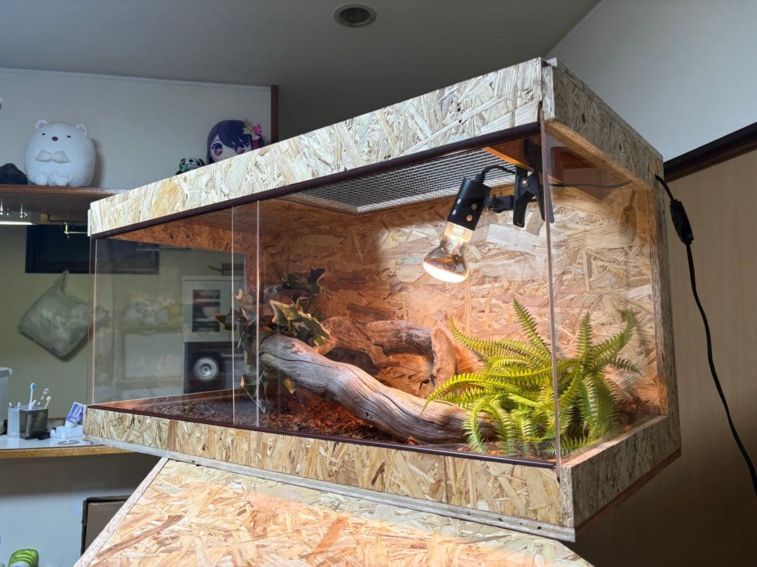 節約 爬虫類ケージ 80×40×40 サイドアクリル オプション付属品 飼育