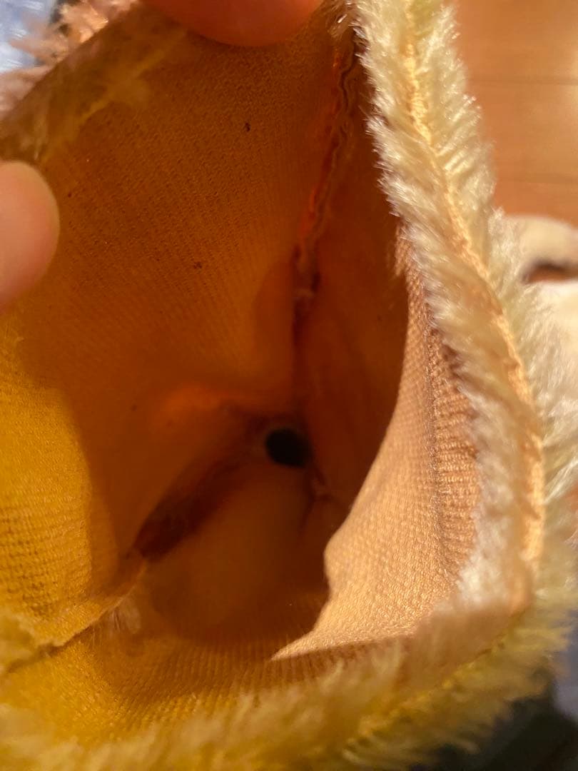 シュタイフ　パペット　セット　白タグ