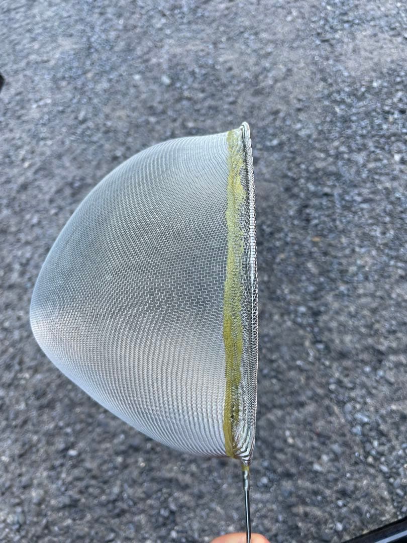 大人気　シラスウナギ　ステンレス　タモ網