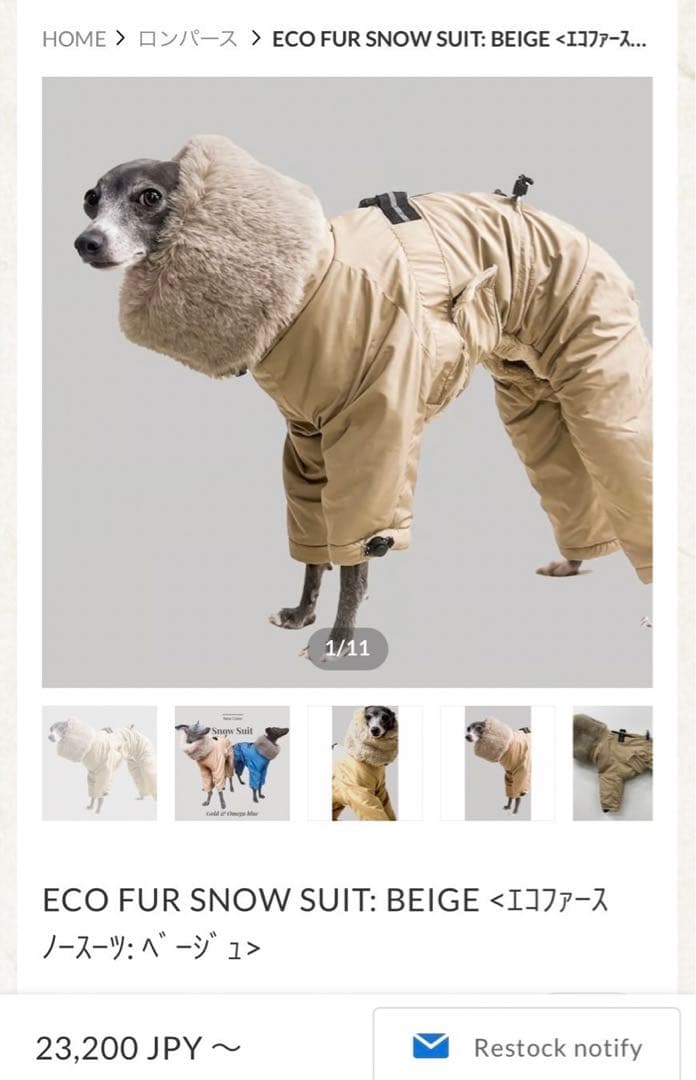 イタグレ服 ushh スノースーツ Sサイズ - メルカリ