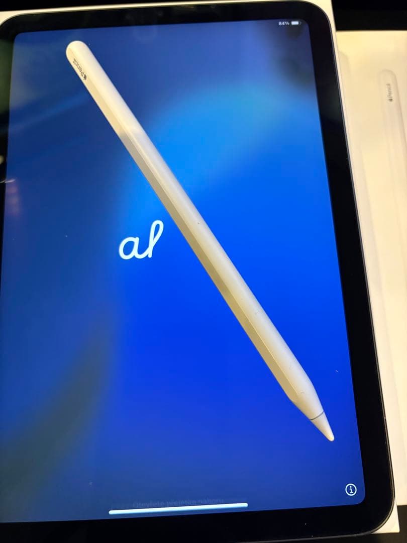 Mr.Rius iPad mini 6世代 スペースグレーアップルペンシル Apple iPad mini 6 スペースグレー Apple Pencil iPad mini 6 Wi-Fi