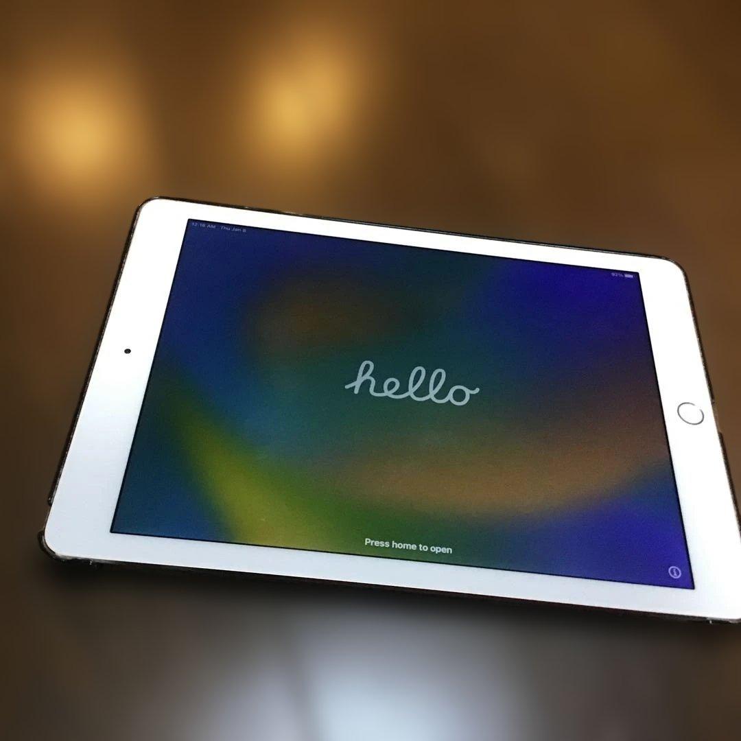 iPad Pro　9.7インチ　256GB　WiFi　画面赤みあり iPad Pro 9.7インチ 256GB WiFi 画面赤みあり iPad Pro9.7インチ