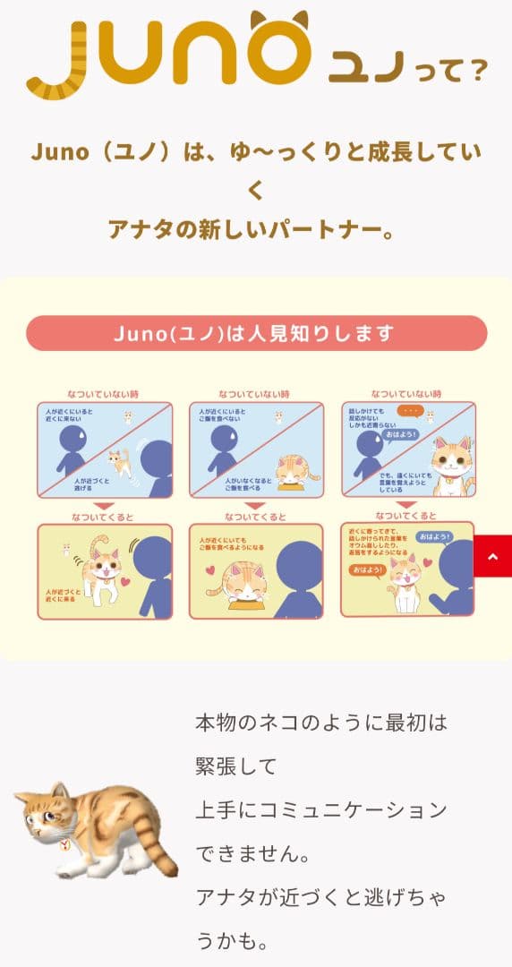 バーチャルペット　ユノ　ユピテル　ねこ　デジタル