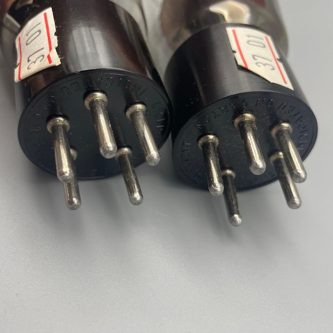 350A Western Electric 真空管 (64) 350A Western Electric 真空管 (64