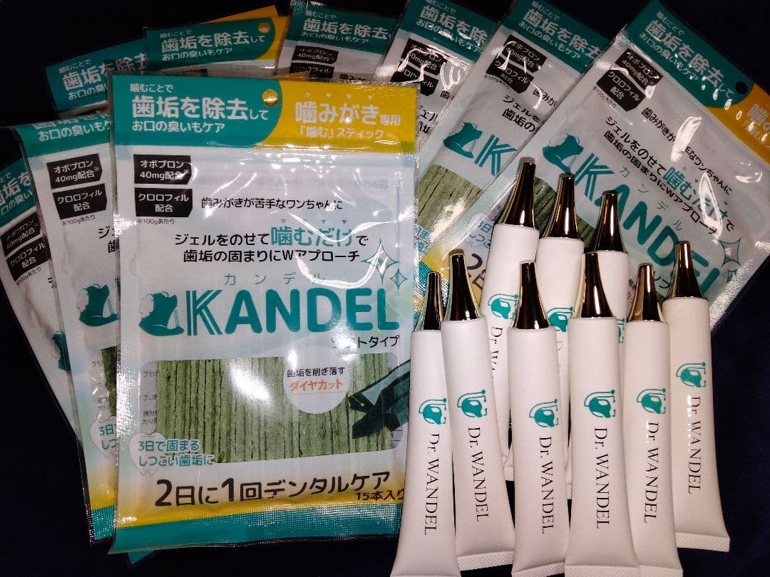ドクターワンデル カンデル 6セット デンタルガム ドクターワンデル