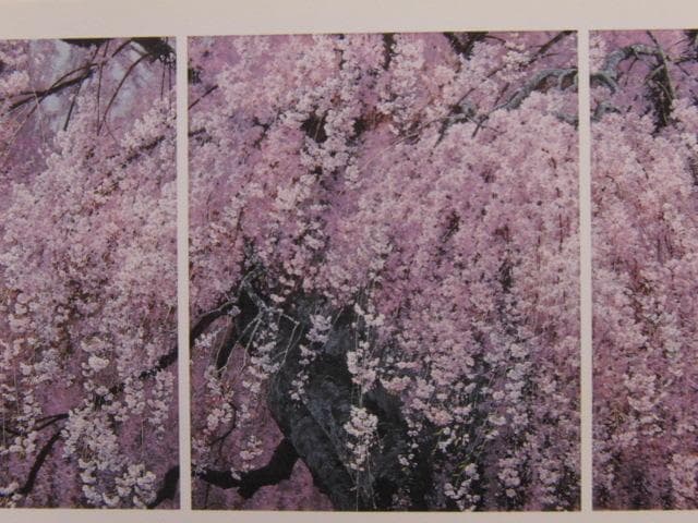 ロートレック全版画2 美本