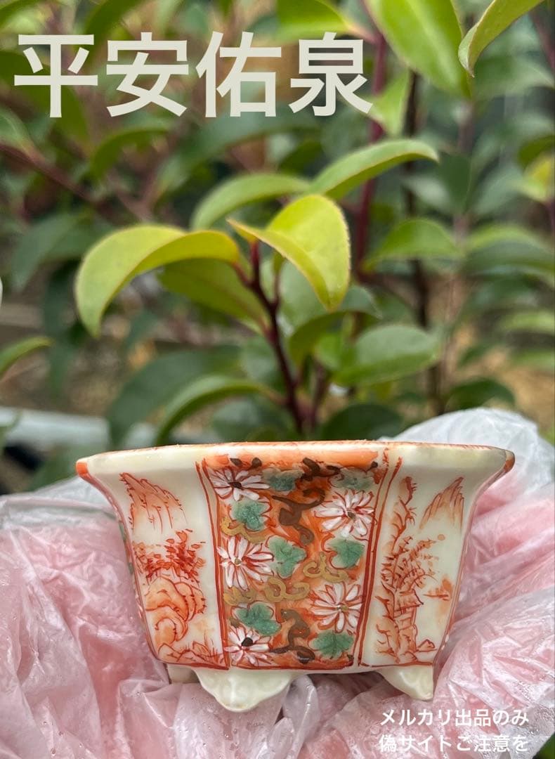 平安佑泉　盆栽鉢　ミニ盆栽　豆鉢 平安佑泉 盆栽鉢 ミニ盆栽 豆鉢