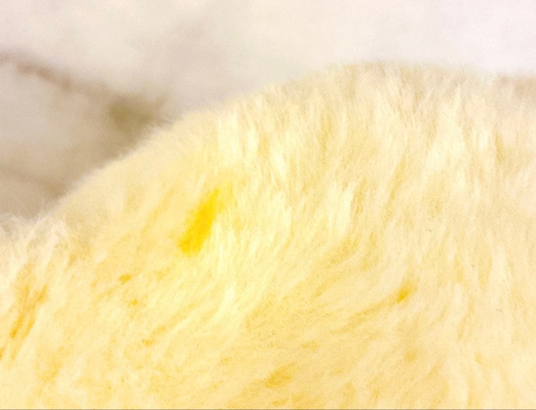 エスプレッソ シナモロール 20周年 グッズ 等身大 ぬいぐるみ サンリオ