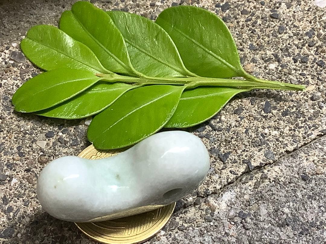 ⭕️神宿る幸運呼の勾玉 糸魚川翡翠ジェダイト 外部鑑定鑑別書取得 縁起物