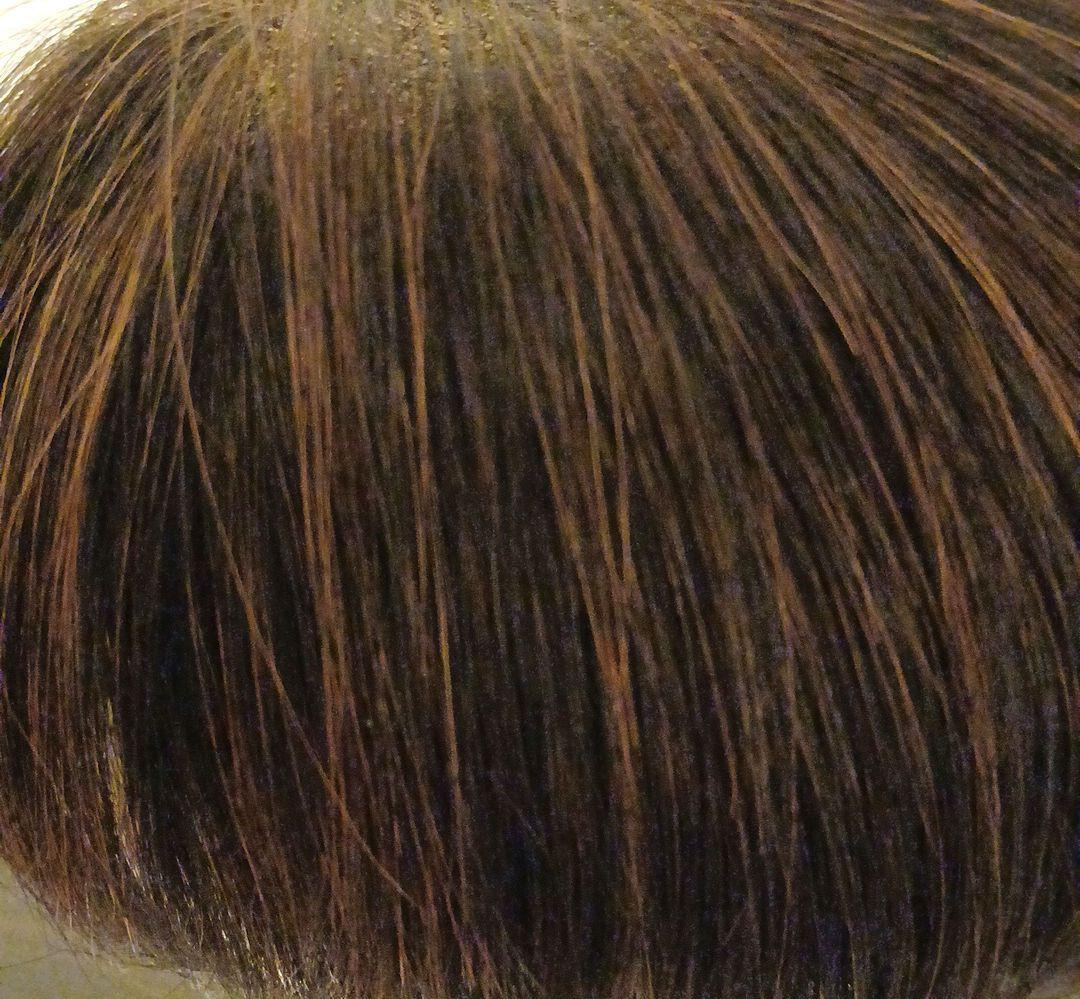 ダークブラウン ショートボブウィッグ 前髪あり　(ジュリアオージェ)