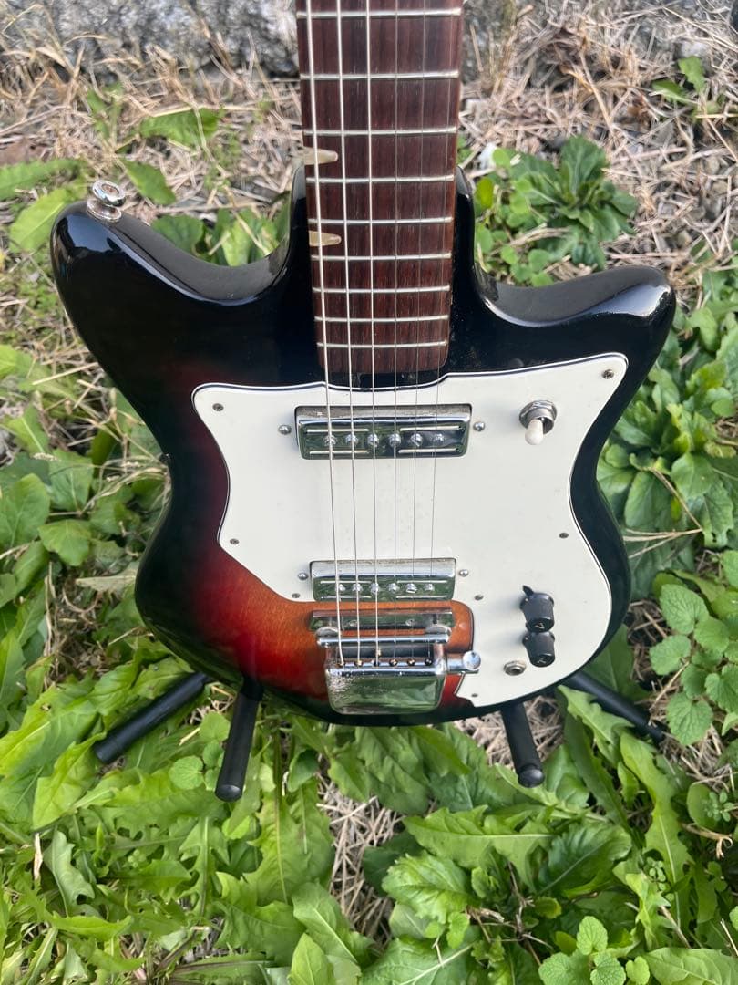 LAKE 日進工業 ビザール