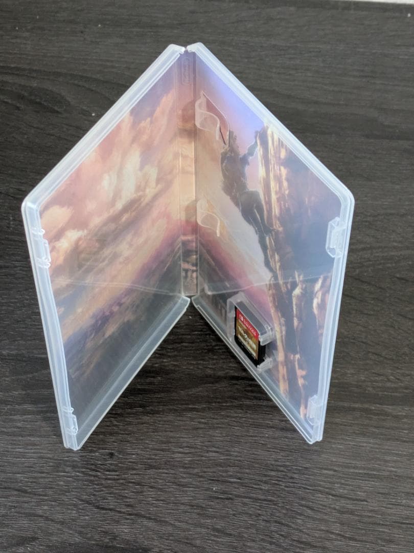 ゼルダの伝説 ブレスオブザワイルド エキスパンションパス 動作確認済