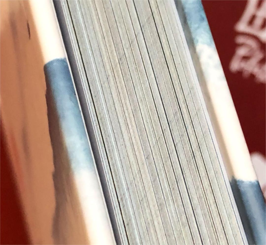 超希少77魏無羡オンリーレア陳情令 主演 肖戦xiaozhan特大記念