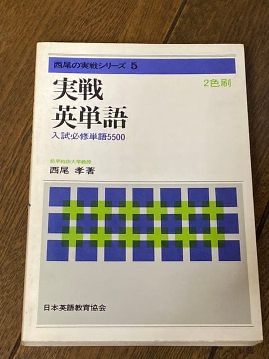 ウニ 標本 貝殻 超特大140㎜ 珍種 バサラブンブク