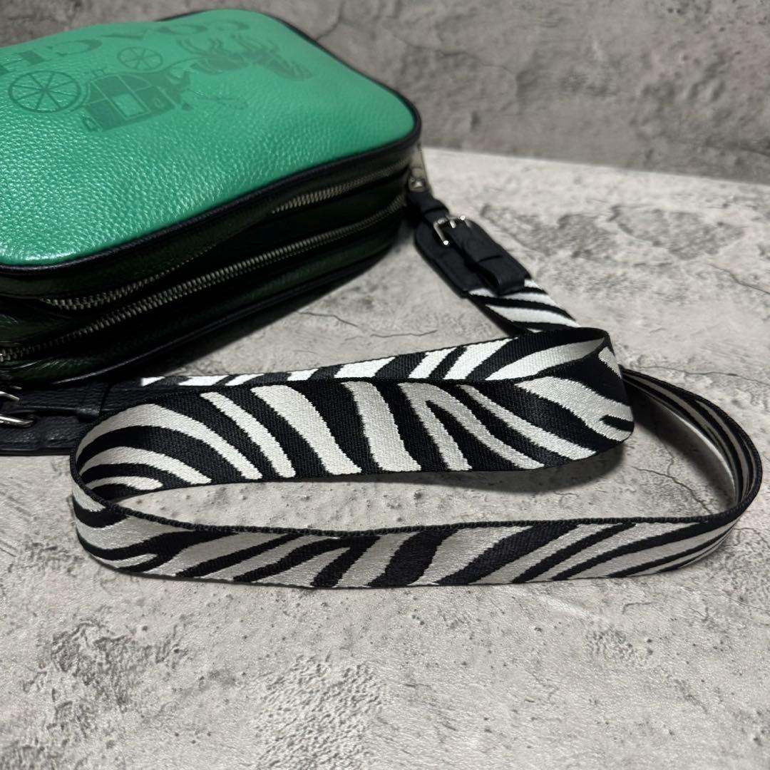 未使用級✨️コーチ カメラバッグ ショルダーバッグ 2層 レザー ゼブラ グリーン