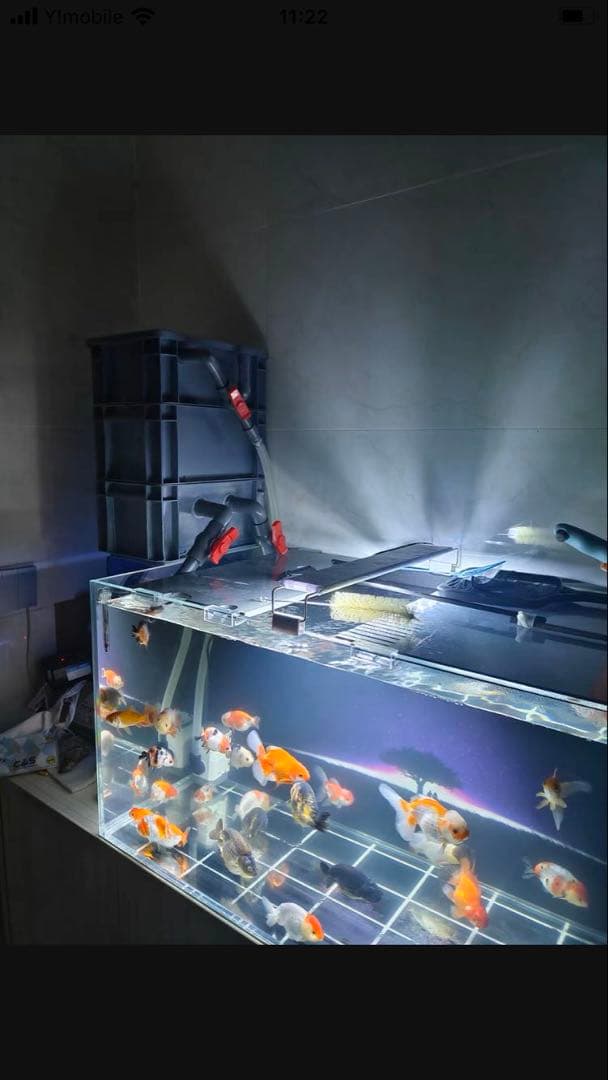 ろ材満タン付き 到着すぐ使える最強濾過装置、万能濾過フィルター即時