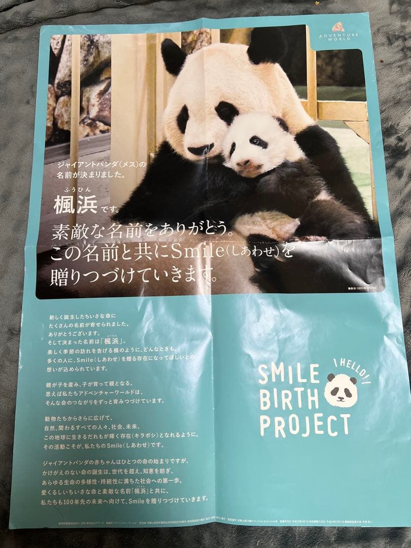 楓浜 アドベンチャーワールド　誕生記念ポスター72×51cm 白浜市配布非売品 楓浜 アドベンチャーワールド 誕生記念ポスター72×51cm 白浜市配布