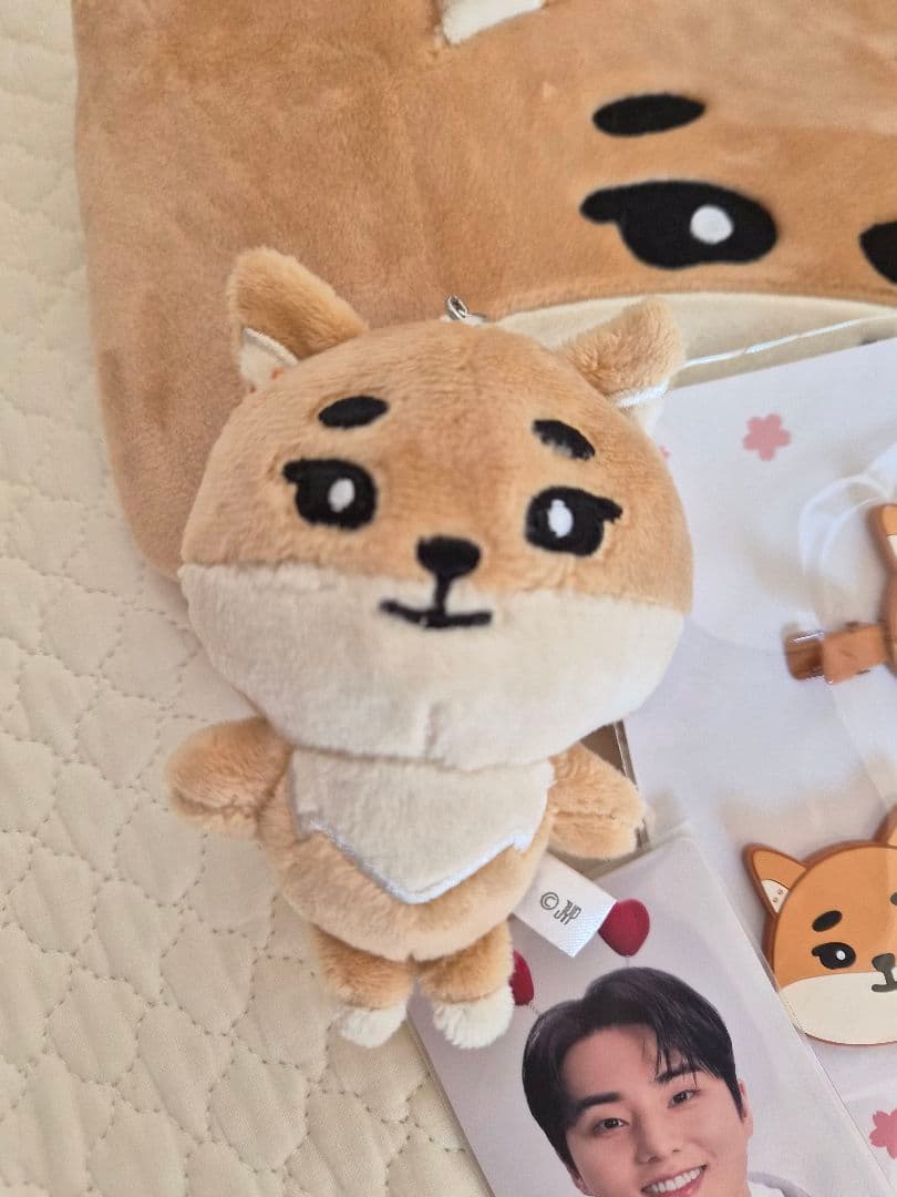 DAY6 ヨンケイ　まとめ売り