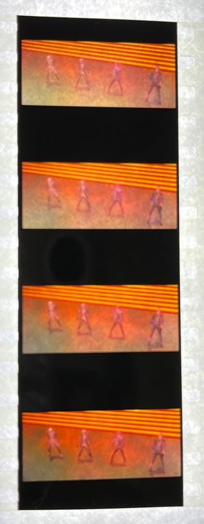 ムビナナ コマフィルム  3枚　ササゲロ　ZOOL ŹOOĻ 特典　日替わり