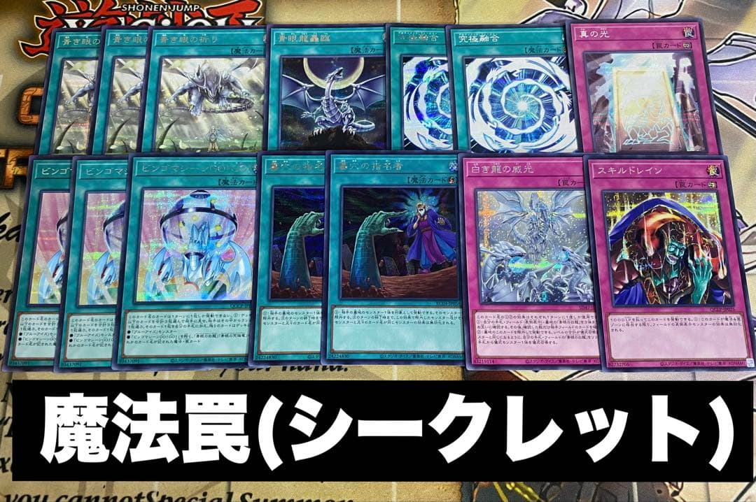 遊戯王 本格構築済み 青眼の白龍 デッキ　ブルーアイズ 赤き竜 白き乙女 青眼