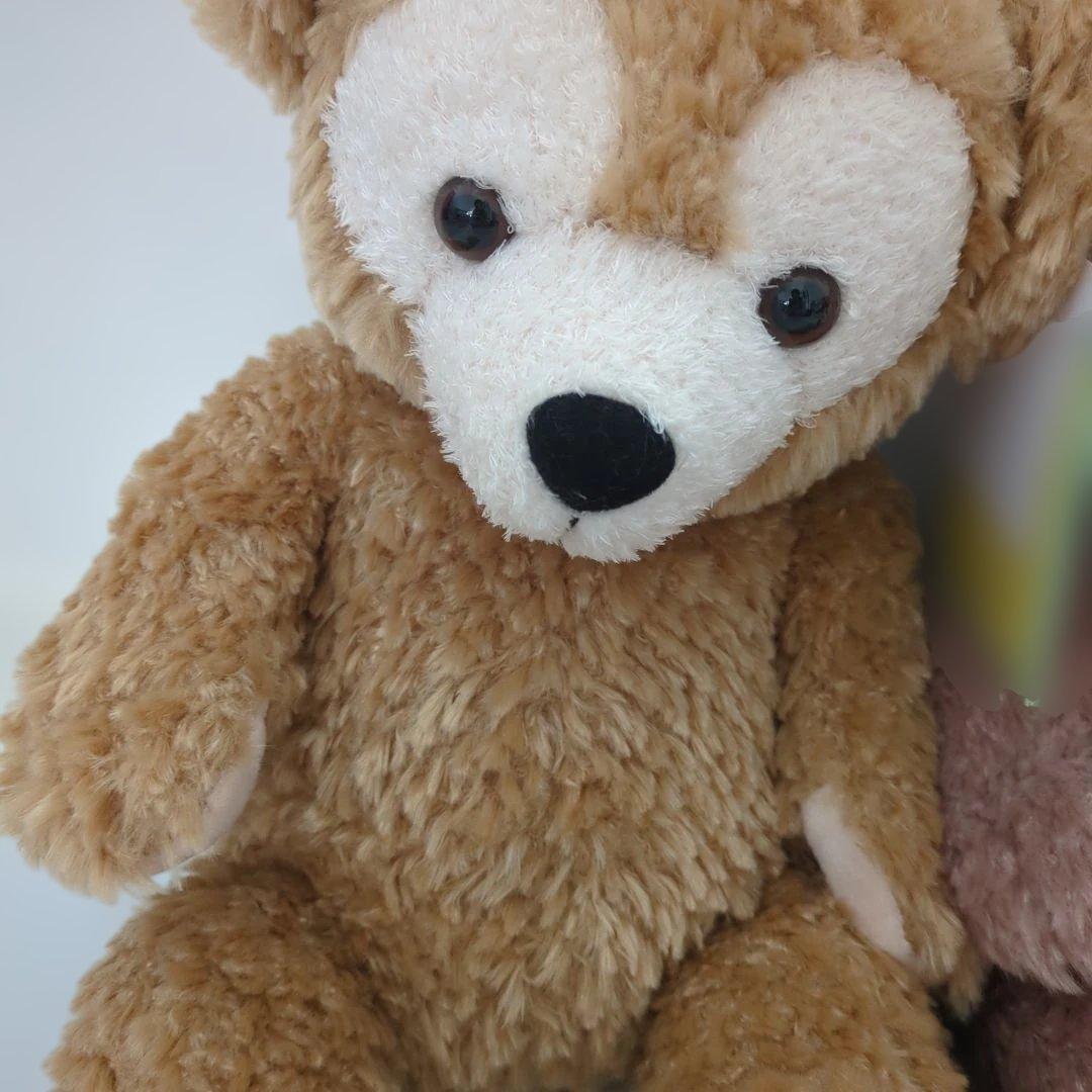 新品タグ付き　ダッフィーとシェリーメイののぬいぐるみ2体セット　ディズニー