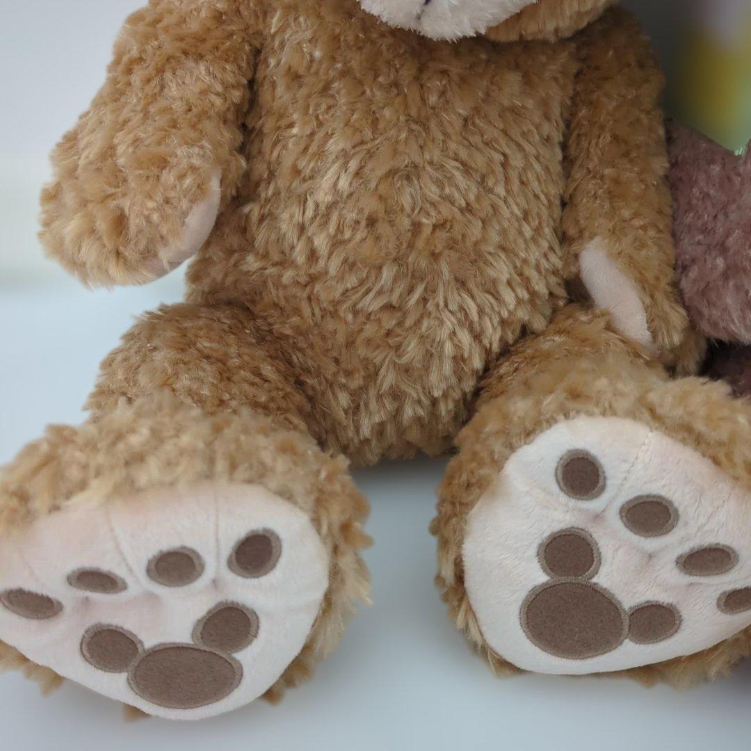 新品タグ付き　ダッフィーとシェリーメイののぬいぐるみ2体セット　ディズニー