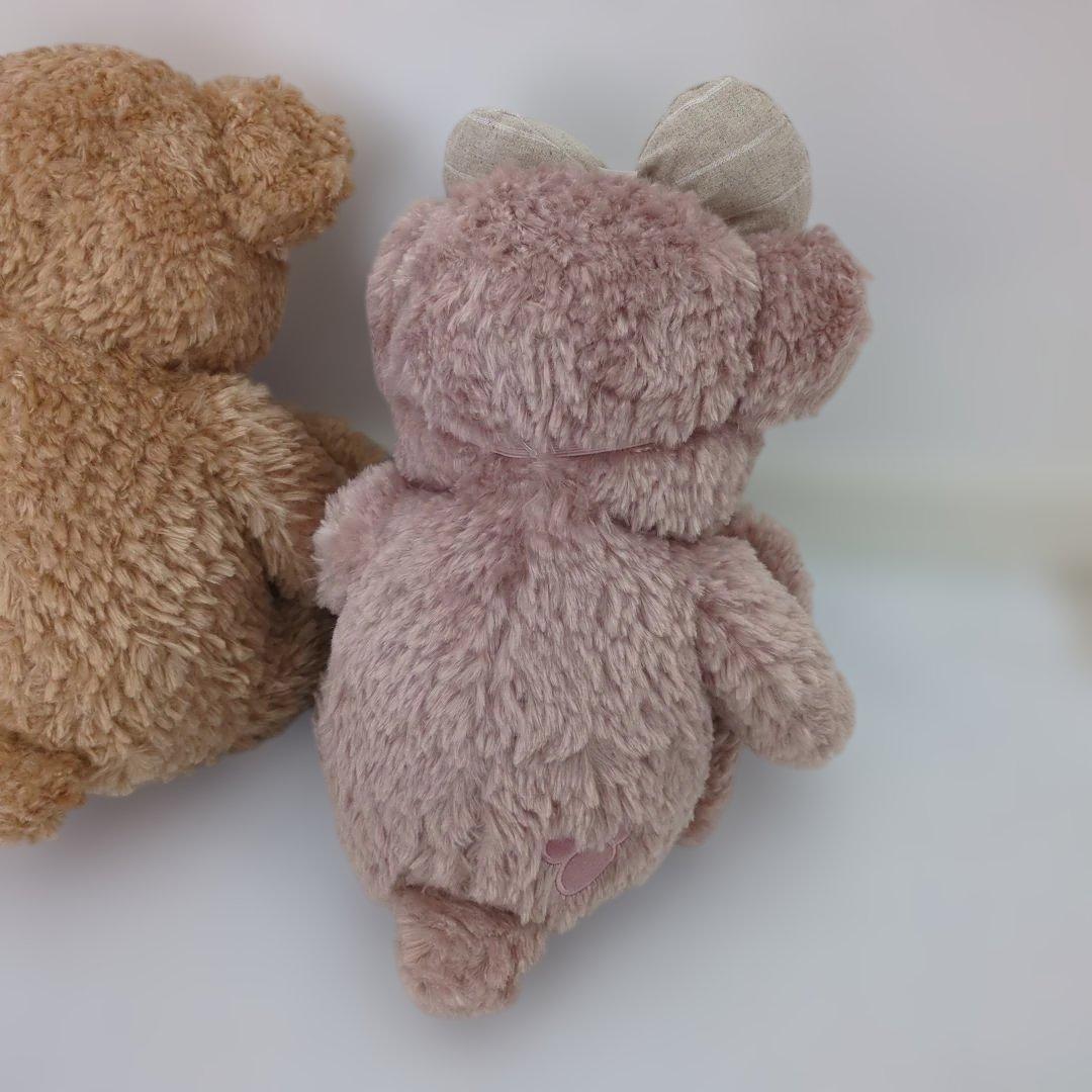 新品タグ付き　ダッフィーとシェリーメイののぬいぐるみ2体セット　ディズニー