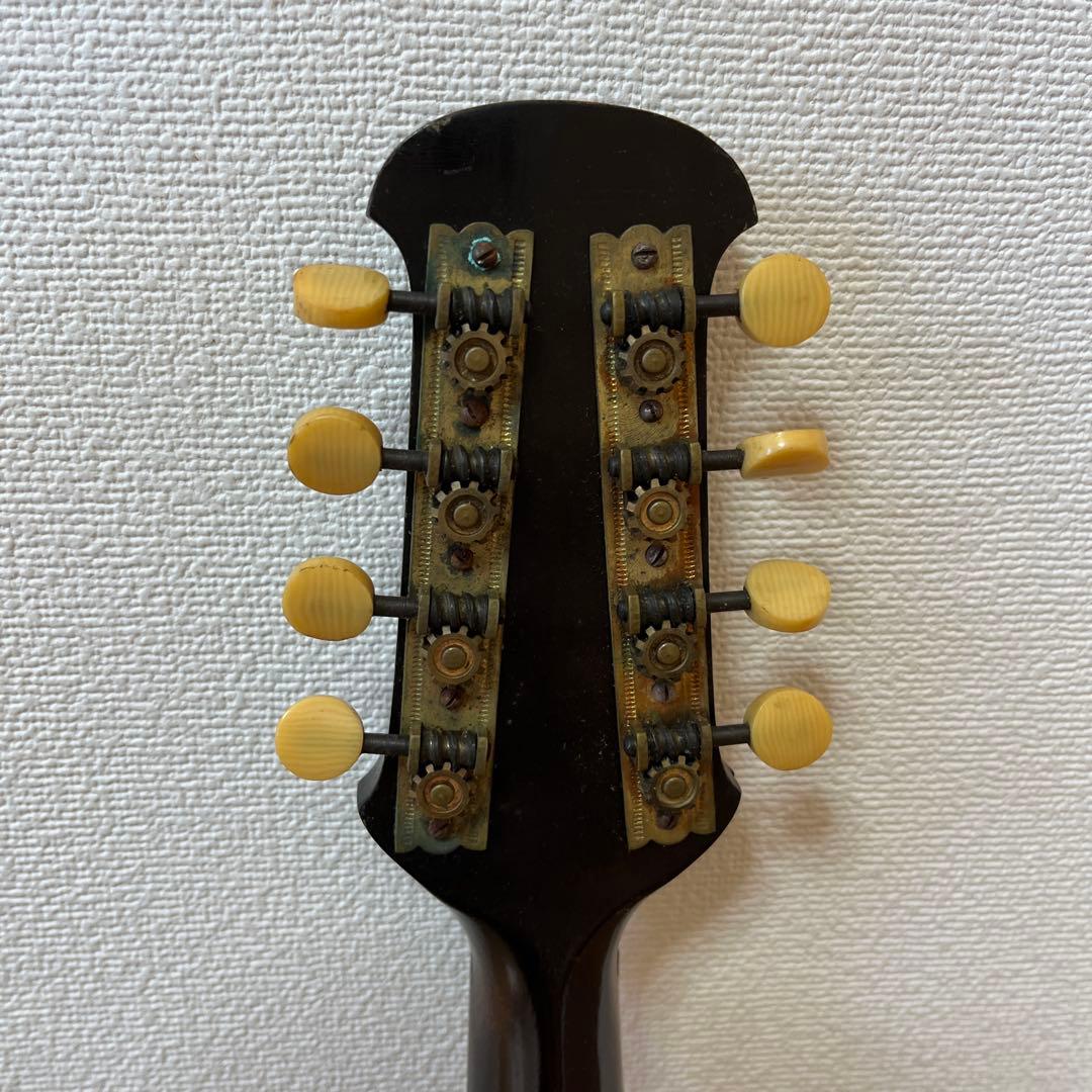 マンドリン 1918-05-1 - メルカリ