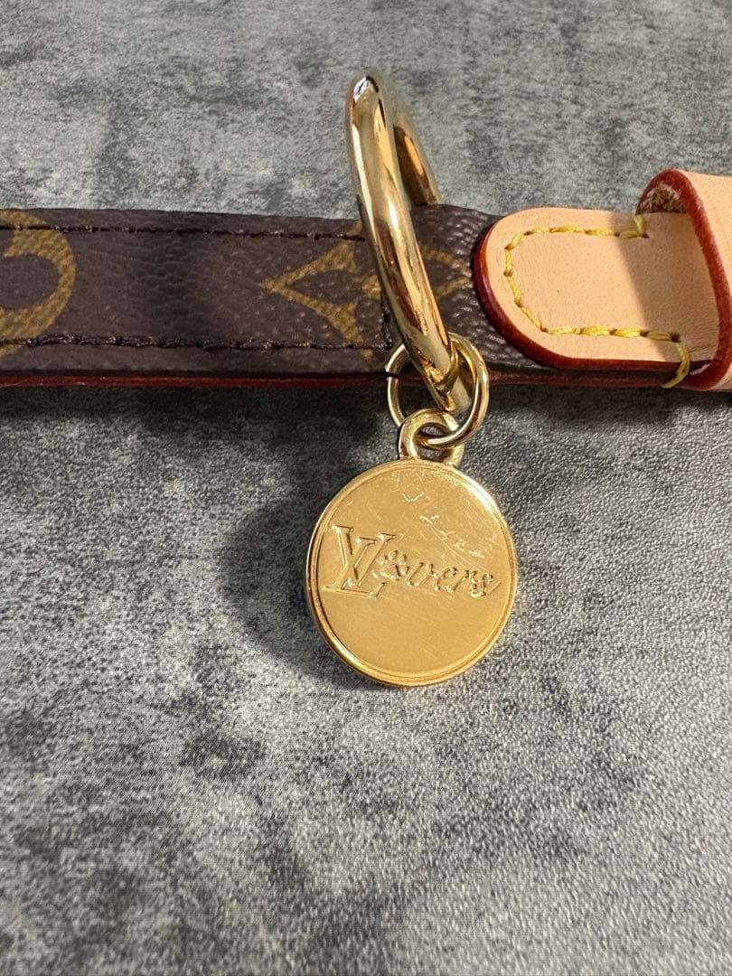 ✨新品試着のみ✨LOUIS VUITTON/首輪/定価73,700円/PMサイズ - メルカリ