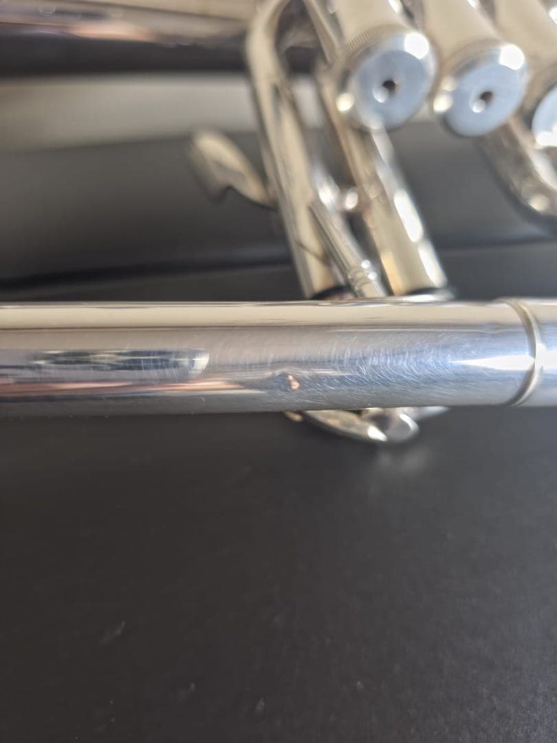 もっトン さん専用売約済み J.Michael フリューゲルホルン