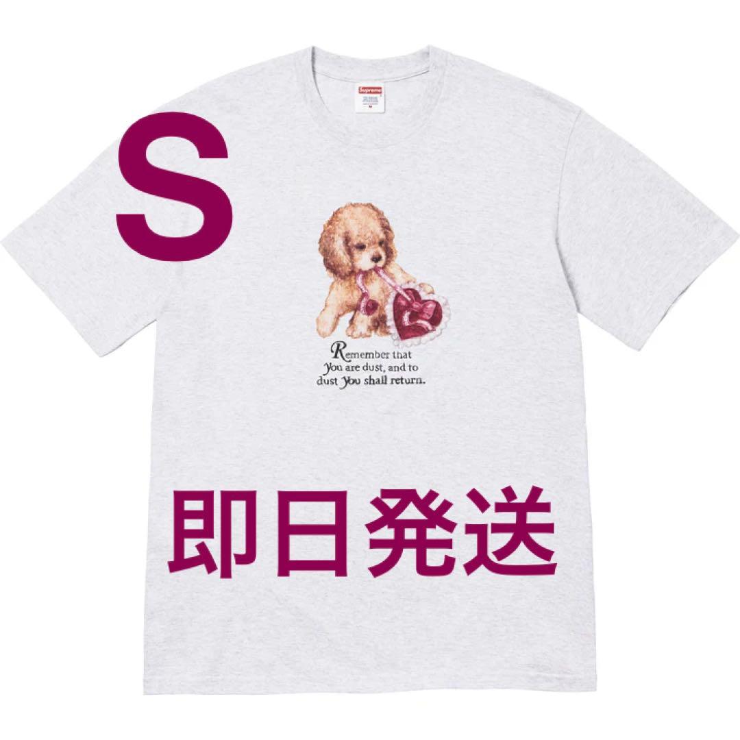Supreme Dust Tee ash grey S シュプリーム Tシャツ