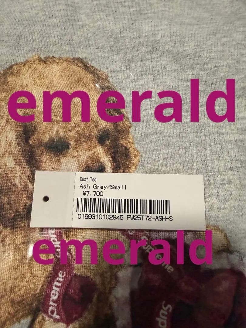 Supreme Dust Tee ash grey S シュプリーム Tシャツ